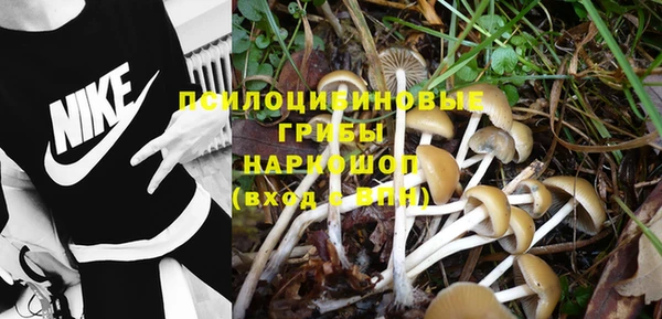 spice Заводоуковск