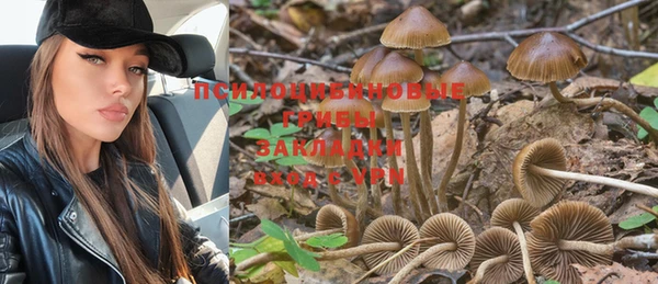 spice Заводоуковск