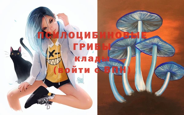 спиды Зерноград