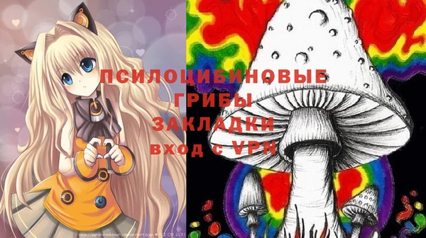 spice Заводоуковск
